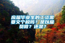 应届毕业生的工资需要交个税吗？是以雇员做？还是？