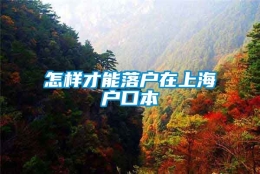 怎样才能落户在上海户口本