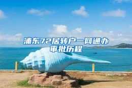 浦东72居转户一网通办审批历程