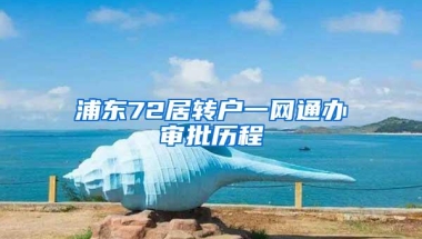 浦东72居转户一网通办审批历程