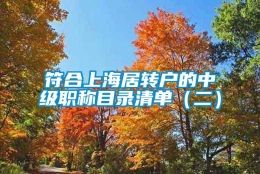 符合上海居转户的中级职称目录清单（二）