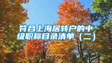 符合上海居转户的中级职称目录清单（二）