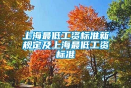 上海最低工资标准新规定及上海最低工资标准