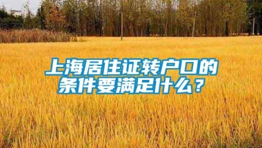 上海居住证转户口的条件要满足什么？