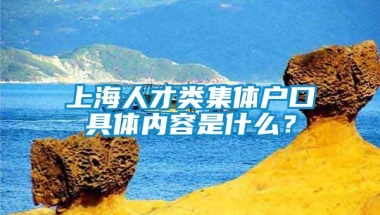 上海人才类集体户口具体内容是什么？