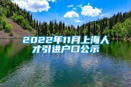 2022年11月上海人才引进户口公示