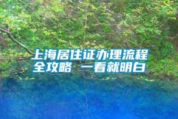 上海居住证办理流程全攻略 一看就明白