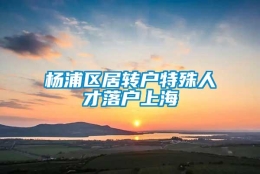 杨浦区居转户特殊人才落户上海