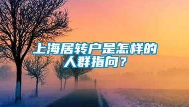 上海居转户是怎样的人群指向？