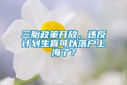 三胎政策开放，违反计划生育可以落户上海了？