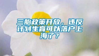 三胎政策开放，违反计划生育可以落户上海了？