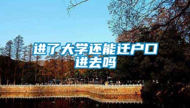 进了大学还能迁户口进去吗