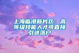 上海临港新片区：高等级技能人才可直接引进落户