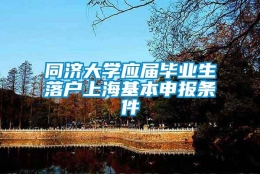 同济大学应届毕业生落户上海基本申报条件