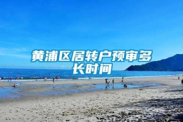 黄浦区居转户预审多长时间